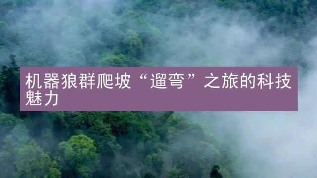 机器狼群爬坡“遛弯”之旅的科技魅力