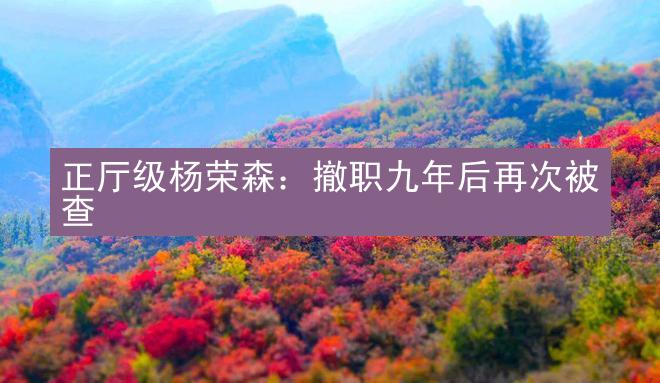 正厅级杨荣森：撤职九年后再次被查