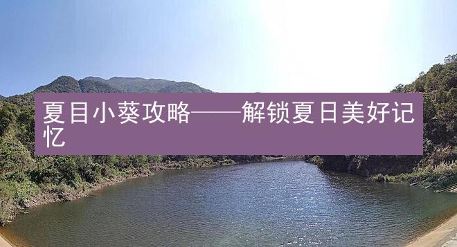 夏目小葵攻略——解锁夏日美好记忆