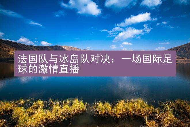 法国队与冰岛队对决：一场国际足球的激情直播