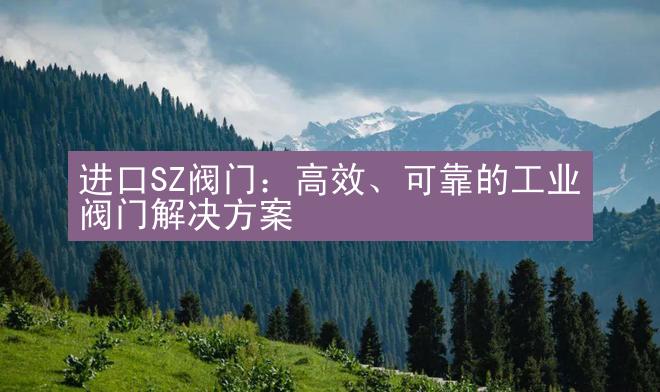 进口SZ阀门：高效、可靠的工业阀门解决方案