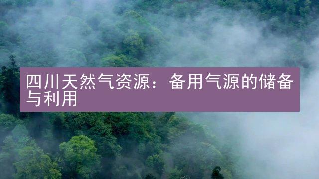 四川天然气资源：备用气源的储备与利用