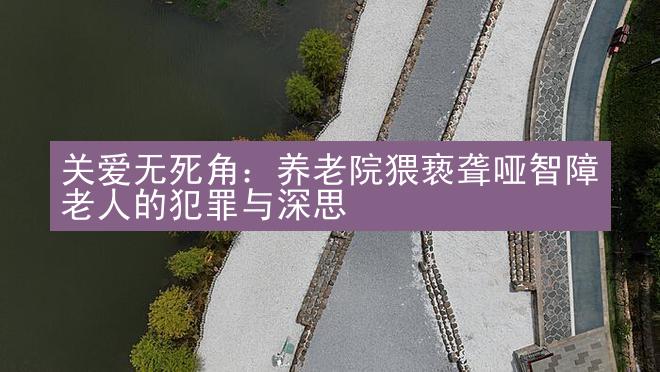 关爱无死角：养老院猥亵聋哑智障老人的犯罪与深思