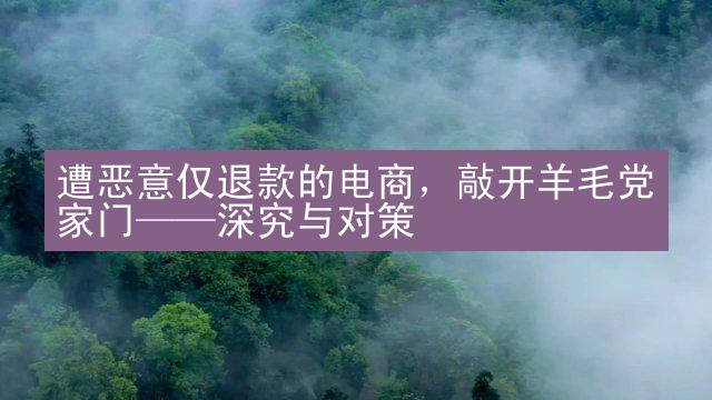 遭恶意仅退款的电商，敲开羊毛党家门——深究与对策