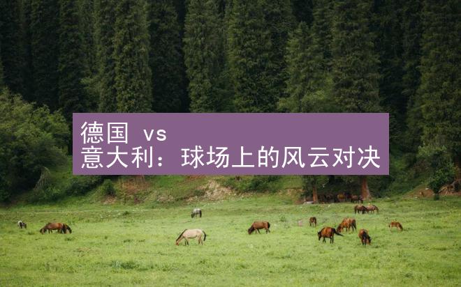 德国 vs 意大利：球场上的风云对决