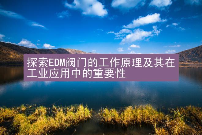 探索EDM阀门的工作原理及其在工业应用中的重要性