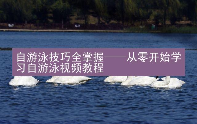 自游泳技巧全掌握——从零开始学习自游泳视频教程