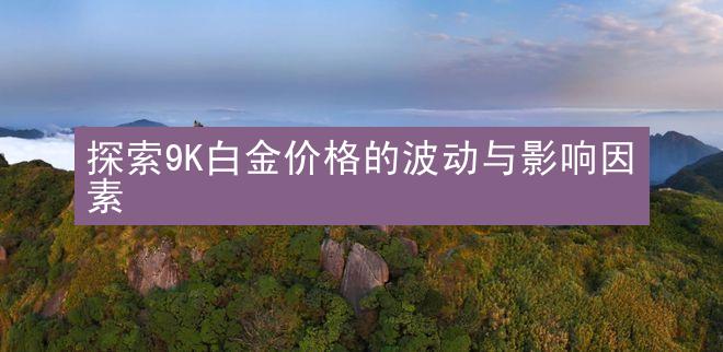 探索9K白金价格的波动与影响因素